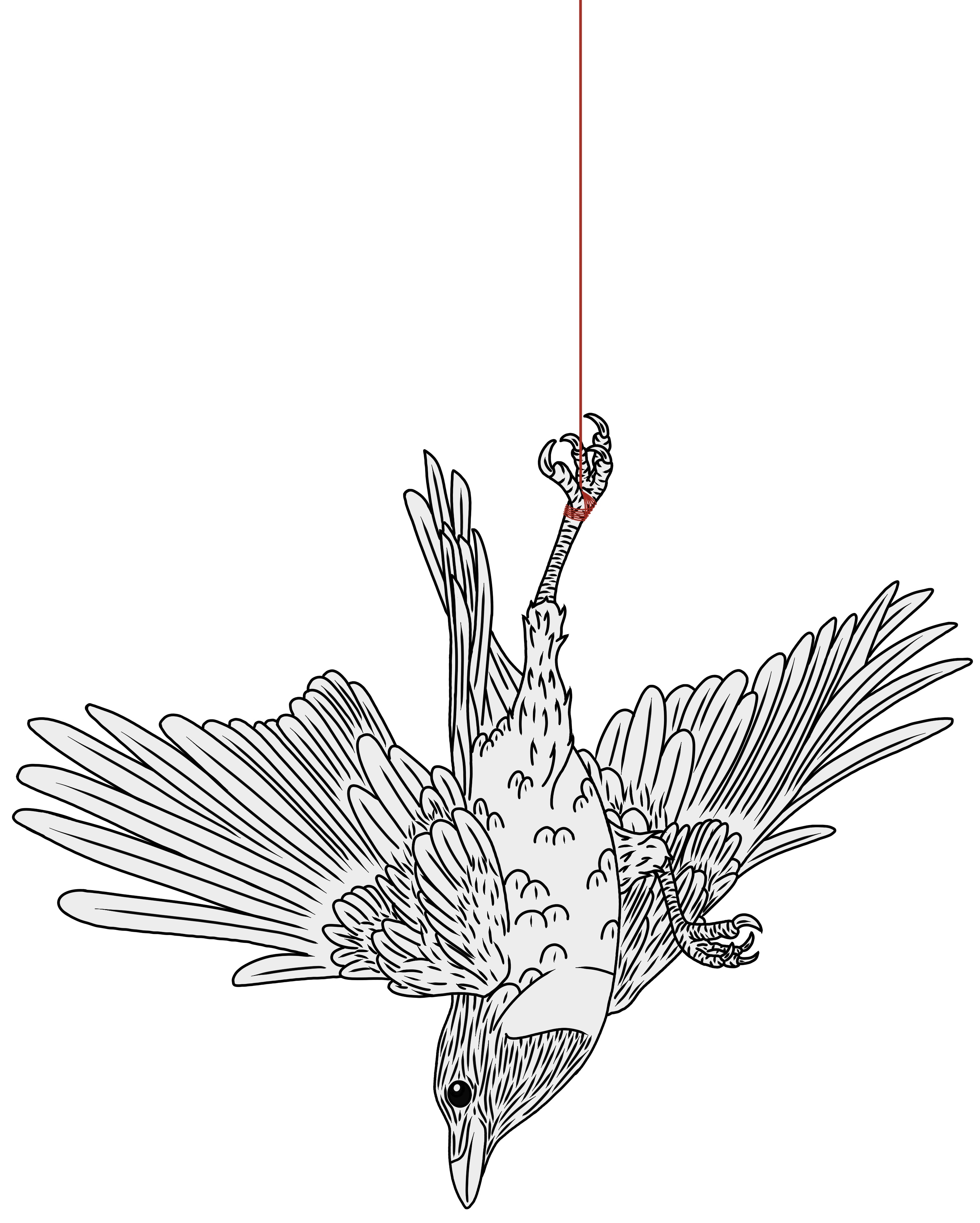 Hanging raven artwork